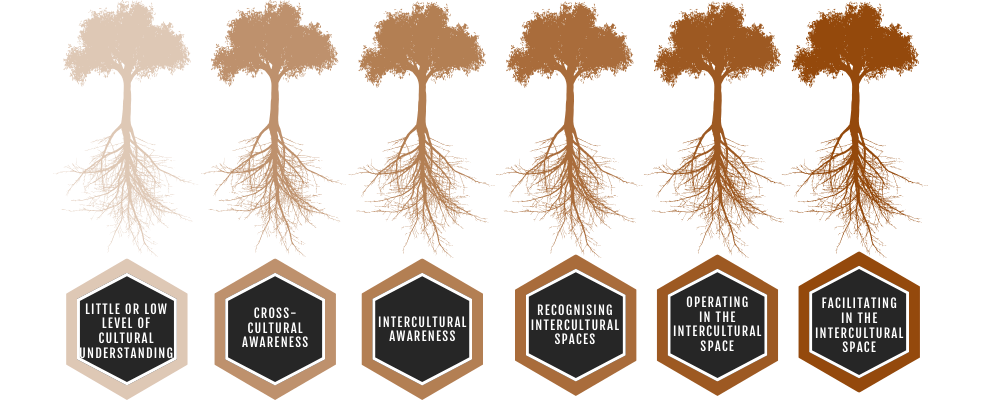 Continuum of Moving Towards Facilitating in the Intercultural Space