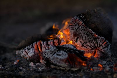 Campfire Coals 